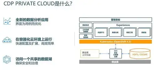 企业私有云平台解决方案有哪些，企业私有云平台解决方案，构建高效、安全的内部云环境之道