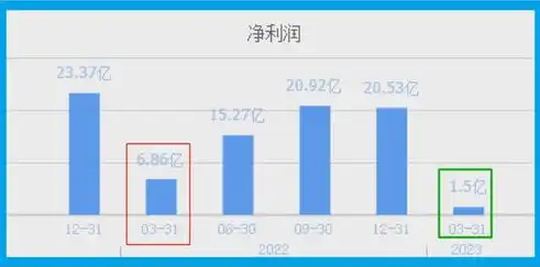 芯片存储龙头股票有哪些，芯片存储行业领军企业盘点，揭秘芯片存储龙头股