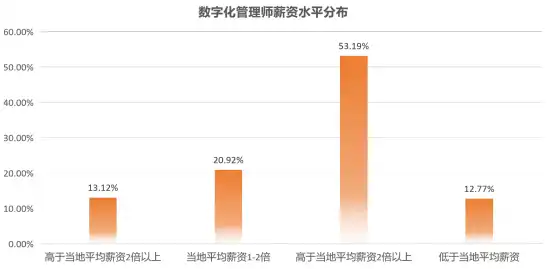 数据保护官含义，数据保护官，数字时代的守护者，薪酬揭秘与职业发展前景分析