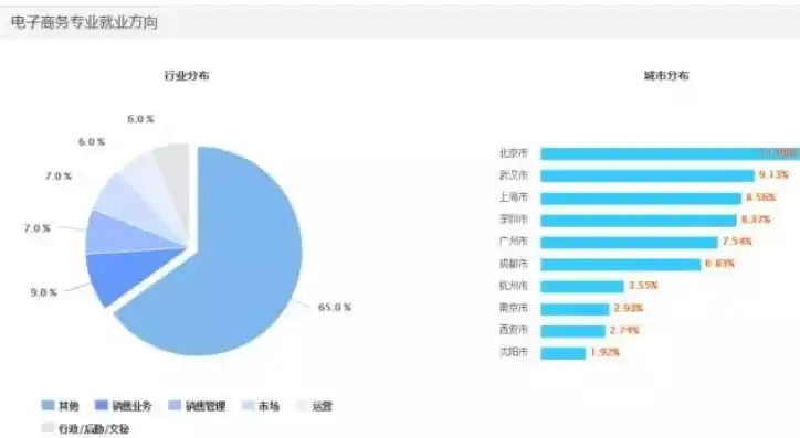 电子商务专业就业方向与就业前景怎么样，电子商务专业就业方向解析，多元化发展，前景广阔