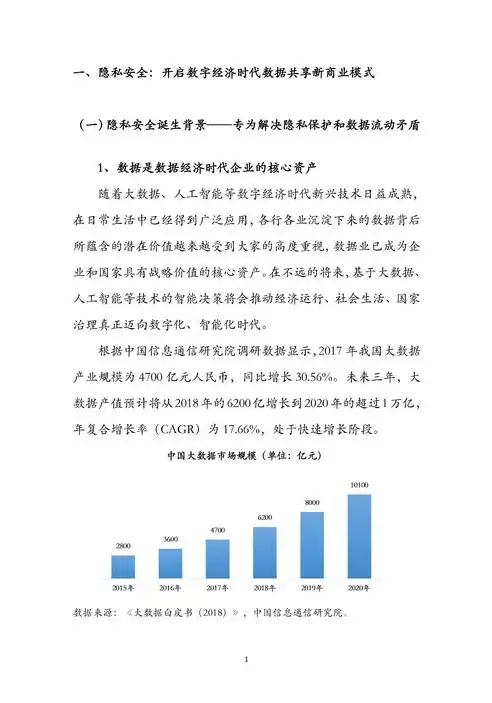 大数据时代的安全与隐私论文怎么写，大数据时代安全与隐私的挑战与对策研究