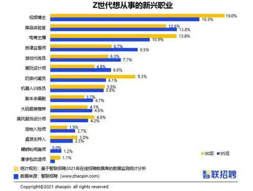 数据保护官含义，数据保护官薪酬揭秘，揭秘其工作内容、职业前景与薪资水平