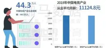 数据保护官含义，数据保护官薪酬揭秘，揭秘其工作内容、职业前景与薪资水平