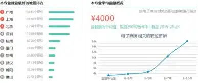 电子商务就业方向及薪资待遇，电子商务时代下的职业蓝图，就业方向解析与薪资展望