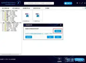 数据恢复软件使用教程，揭秘数据恢复软件，轻松还原丢失数据，恢复过程详解