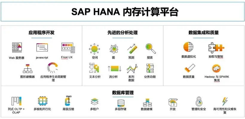 sap数据平台，深入解析SAP数据管理系统，全面掌握企业数据管理的核心平台