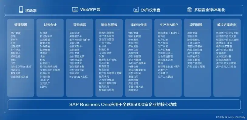 sap数据平台，深入解析SAP数据管理系统，全面掌握企业数据管理的核心平台