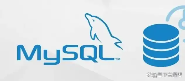 Mysql社区版，深入解析MySQL社区版，功能特点、优势与挑战