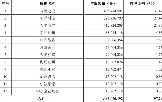 合肥长鑫存储股票代码，合肥长鑫存储股票，解析其股票代码背后的市场机遇与风险