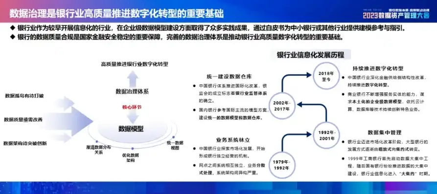 银行数据治理工作情况报告，银行数据治理实践与成效分析——以某银行为例