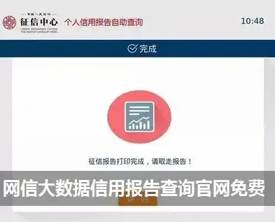 中国网信大数据信用报告查询官网，深入解读中国网信大数据信用报告查询官网，便捷查询、精准评估个人信用