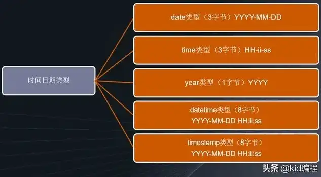 数据库有几种数据类型组成，数据库世界的数据多样性，揭秘数据库中的数据类型