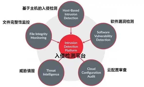 入侵检测系统可分为哪几类类别，深入解析入侵检测系统分类及其特点