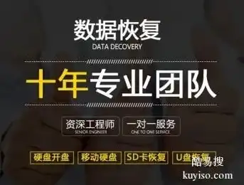 SEO服务，揭秘网络营销的神秘力量，seo服务商