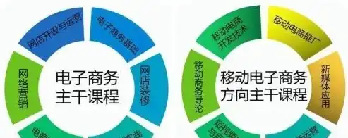 技校电子商务专业学什么的，技校电子商务专业全解析，技能培养与未来职业路径详解