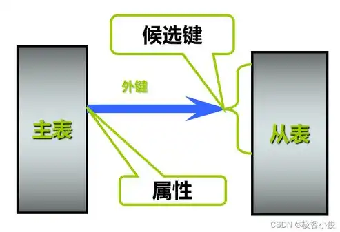 什么是关系数据库中最基本的数据单位，关系数据库的核心构成，基本数据单位及其重要性