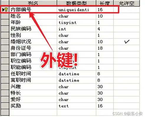 什么是关系数据库中最基本的数据单位，关系数据库的核心构成，基本数据单位及其重要性