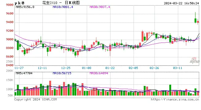 花生今年价格行情预测分析，2024年花生价格行情预测分析，供需格局与市场趋势