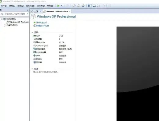 vmware修改cpu型号，深入解析VMware服务器CPU故障处理与型号更换技巧