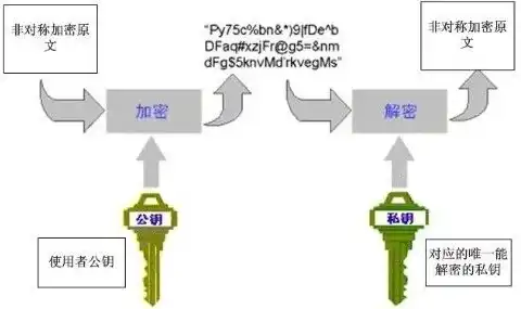 加密技术分为哪两类，揭秘加密技术，对称加密与不对称加密的奥秘