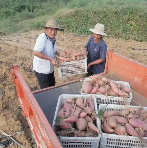 关键词搜索数量，关键词搜索量分析，揭秘热门关键词背后的秘密