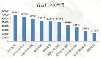 公安利用大数据侦查的经典案例分析报告，大数据时代下的公安侦查创新，经典案例分析报告