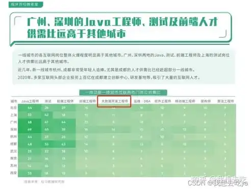 公安利用大数据侦查的经典案例分析报告，大数据助力公安侦查，破解疑难案件的智慧之光