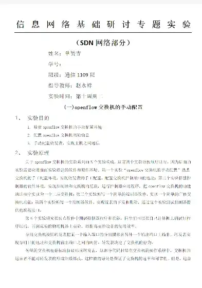 软件定义网络实验报告，基于SDN的智能网络架构设计与实验分析