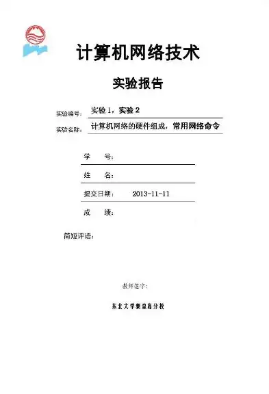 计算机网络技术专业实践报告范文，计算机网络技术专业实践报告，基于XX项目的综合实践与总结