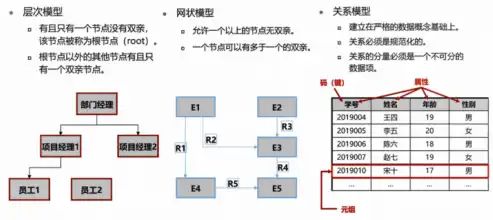 常用的数据模型不包括哪个，深入探讨，常用的数据模型中缺失的神秘角色——矩阵模型