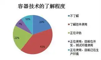 容器技术及其应用情况分析怎么写，容器技术，重塑现代软件开发与运维格局