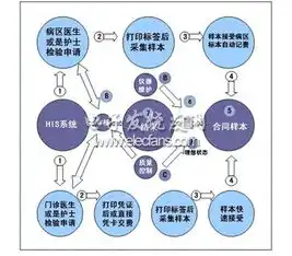 容器技术及其应用情况分析怎么写，容器技术，重塑现代软件开发与运维格局