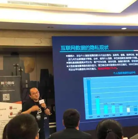 数据隐私和数据安全问题的区别是什么，深入解析，数据隐私与数据安全问题的本质区别