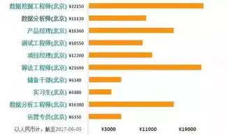 数据挖掘工程师职责范围，数据挖掘工程师，揭秘数据背后的智慧宝藏挖掘者