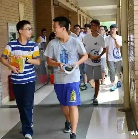 普通高中学业水平成绩查询入口，揭秘普通高中学业水平合格性考试，查询入口及重要信息一览