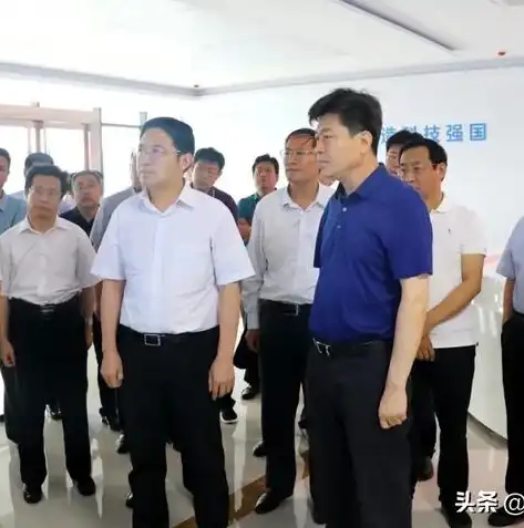 数据治理工程师的成熟方案怎么写，数据治理工程师成熟方案，构建高效、安全的数据生态系统