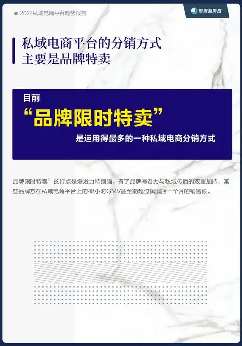 电子商务发展的现状与趋势结论论文，电商浪潮下的未来展望，电子商务发展现状与趋势分析