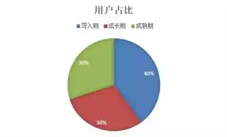 在大数据隐私保护生命周期模型中,大数据，大数据隐私保护生命周期模型中隐私保护技术的多元化应用与策略