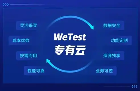 私有云专有云，私有云与专有云，企业数据安全的双重保障