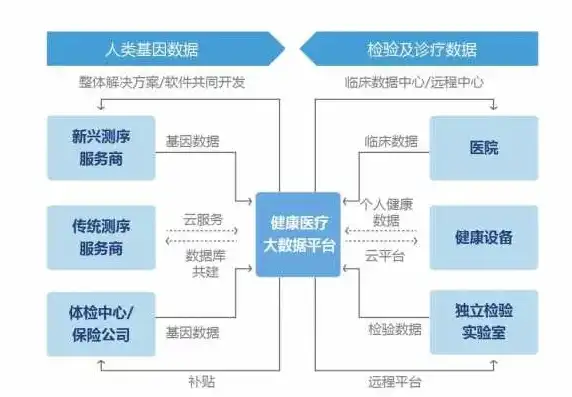 医疗大数据软件是什么，医疗大数据软件，驱动智慧医疗发展的关键力量