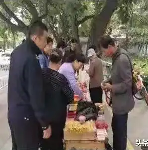 数据治理证书互联网认可度高吗，数据治理证书，互联网行业的黄金钥匙，认可度究竟如何？