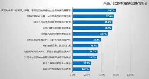 中英企业网站源码双重魅力，打造国际化企业门户的利器，中英企业网站源码查询