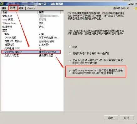 vm cpu虚拟化，深入探讨VMware服务器CPU虚拟化故障及更换策略