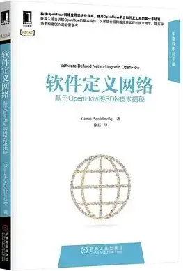 软件定义网络实验教程pdf，深入探索软件定义网络（SDN）实验，原理与实践