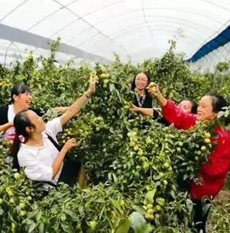 手机下载文件保存路径在哪找，手机下载文件存储路径大揭秘，轻松找到你的下载宝藏！