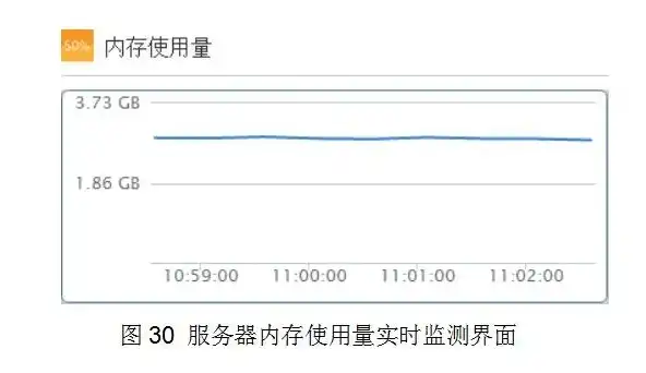 吞吐量限制，深入探讨吞吐量设置，优化资源利用，提升系统性能