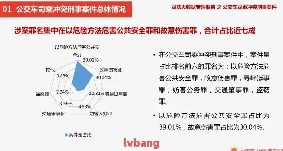 公安利用大数据侦查的经典案例分析论文，大数据助力公安侦查，揭秘经典案例分析