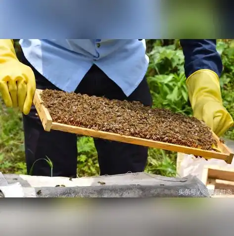 怎么提高资源利用率，深度解析，全方位提升资源利用率的策略与技巧