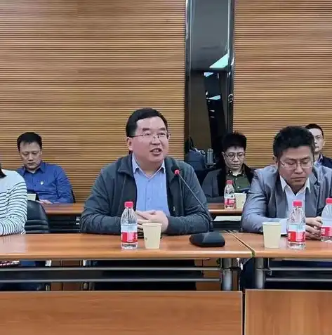 网络安全审计有，深入解析网络安全审计，守护企业数据安全的利器