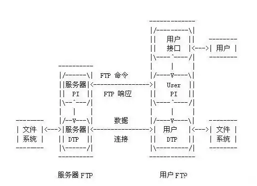 虚拟机ftp服务器怎么搭建的，详细解析，虚拟机FTP服务器搭建步骤及技巧